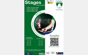 Stage Tennis de Table  Toussaint 2026